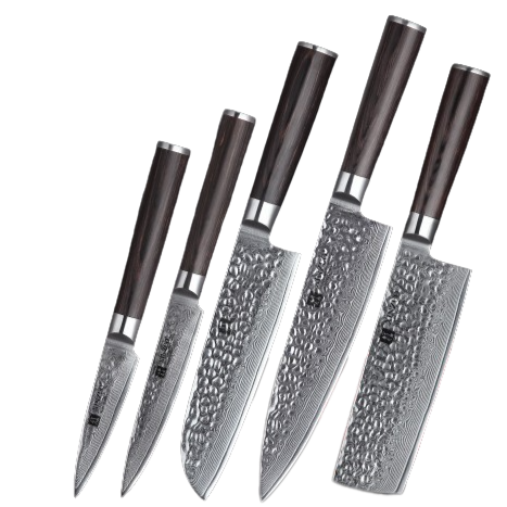 Damascus Steel Knife Set